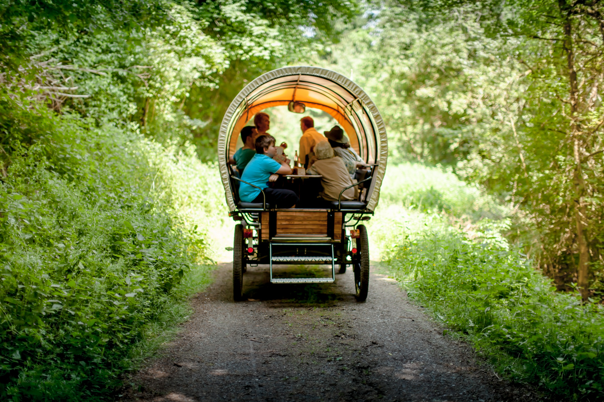 Planwagenfahrten und Kutschfahrten Haas in Nagold